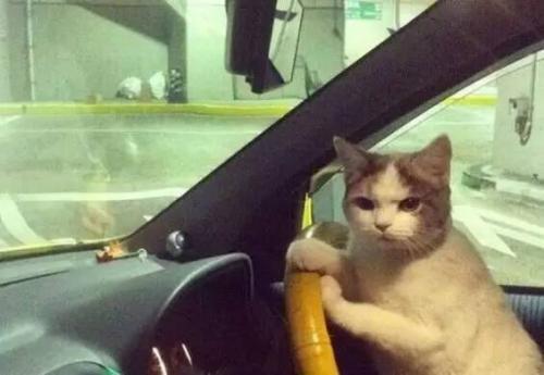 大尺度展會，提前小劇透！(圖1)